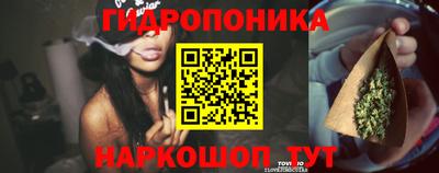 крисы Аргун