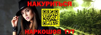 крисы Аргун
