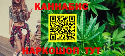 крисы Аргун