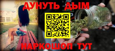 крисы Аргун